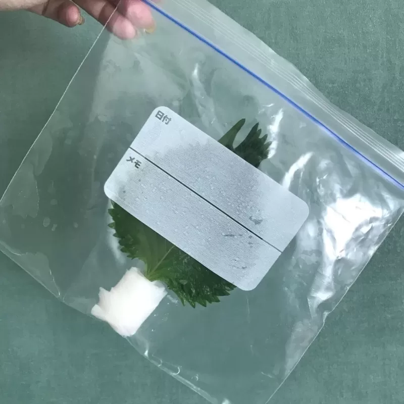 蜜蝋ラップ デメリット 使い方 ベタベタ