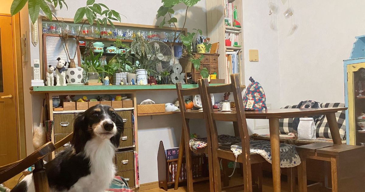 昭和レトロな雰囲気のキッチン外観